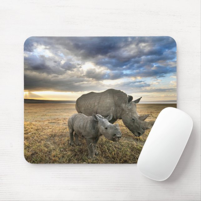 Cutest Baby djur | White Rhino & Calf Musmatta (Med mus)