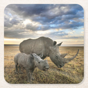 Cutest Baby djur White Rhino & Calf Underlägg Papper Kvadrat
