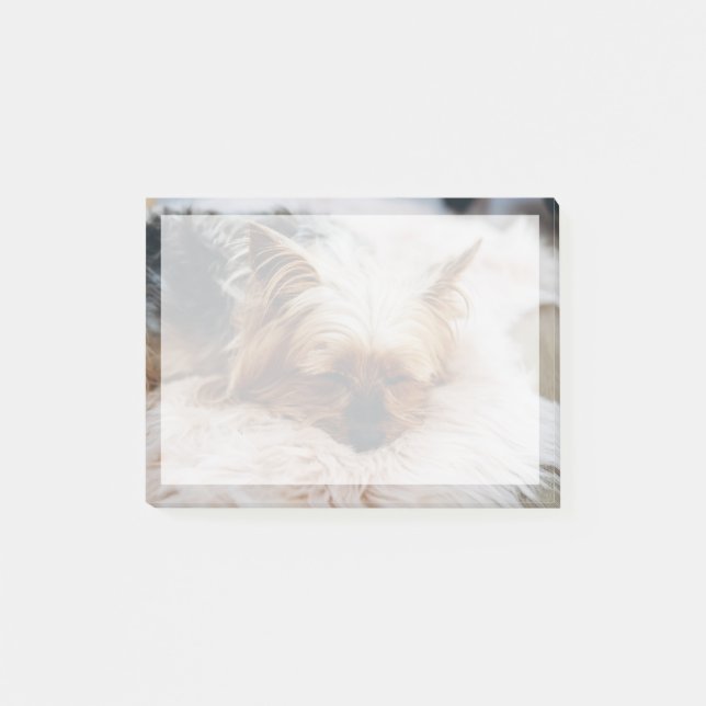 Cutest Baby djur | Yorkshire Terrier Post-it Block (Framsida)
