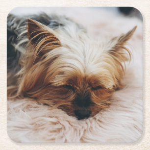 Cutest Baby djur Yorkshire Terrier Underlägg Papper Kvadrat