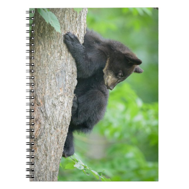 Cutest Baby djur | Young Black Bear Unge Anteckningsbok (Framsidan)