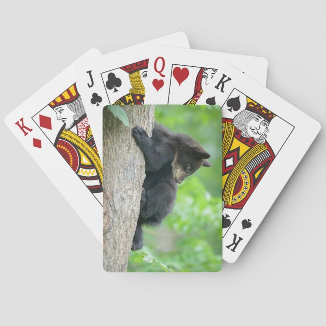 Cutest Baby djur | Young Black Bear Unge Casinokort (Baksidan)