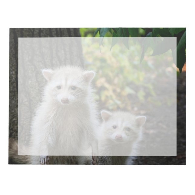 Cutest Baby djur | Young Blonde Raccoons Anteckningsblock (Framsida)
