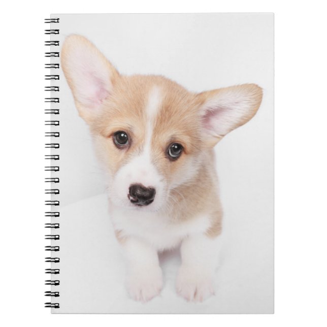 Cutest Baby djur | Young Corgi Puppy Anteckningsbok (Framsidan)