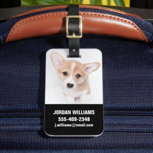 Cutest Baby djur Young Corgi Puppy Bagagebricka