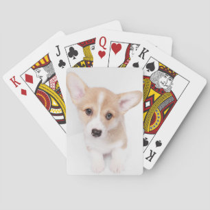 Cutest Baby djur Young Corgi Puppy Casinokort