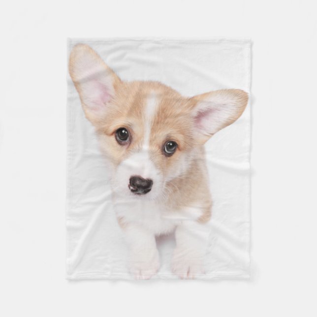 Cutest Baby djur | Young Corgi Puppy Fleecefilt (Framsidan)
