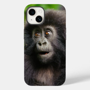 Cutest Baby djur   Young Mountain Gorilla