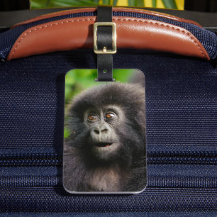 Cutest Baby djur Young Mountain Gorilla Bagagebricka