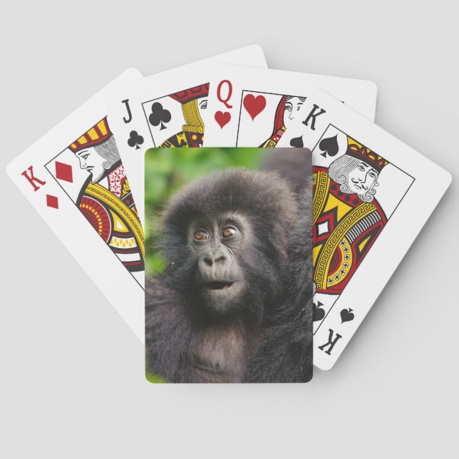 Cutest Baby djur | Young Mountain Gorilla Casinokort (Baksidan)