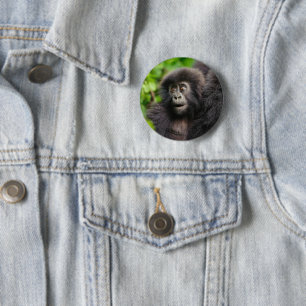 Cutest Baby djur   Young Mountain Gorilla Knapp