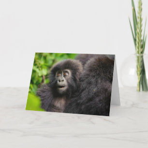 Cutest Baby djur Young Mountain Gorilla Kort