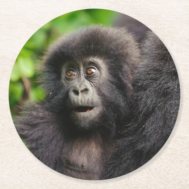 Cutest Baby djur | Young Mountain Gorilla Underlägg Papper Rund (Framsidan)