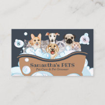 Cutest Hundar Cats Spa Sitter Groom PetCare Bathin