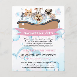 Cutest Hundar Cats Spa Sitter Groom PetCare Servic Flygblad