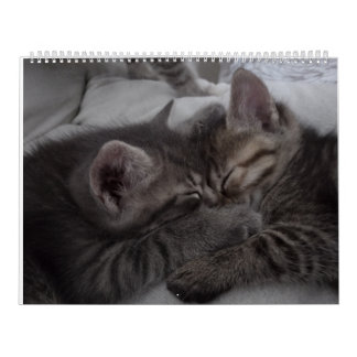 Cutest Kittens Kalender
