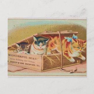 Cutest Kittens Soap Ad Vykort