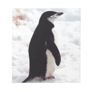 Cutest Penguin, någonsin Anteckningsblock