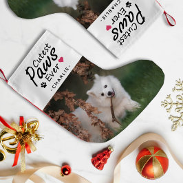 Cutest Tassar Aldrig Hund Pet Photo och Namn Helgd Liten Julstrumpa