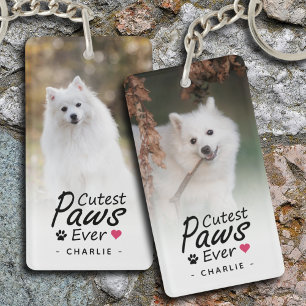 Cutest Tassar någonsin Pet Photo Hund älskare Keep