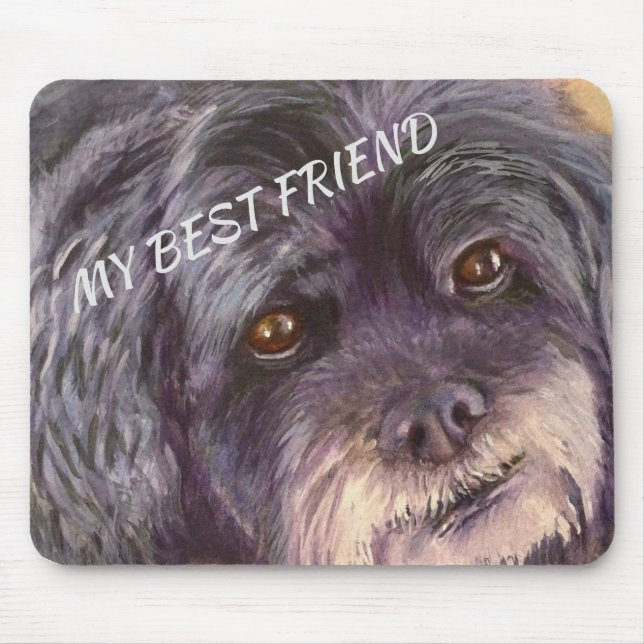 CUTIE BLACK COCK-A-POO MIX MUSMATTA (Framsidan)