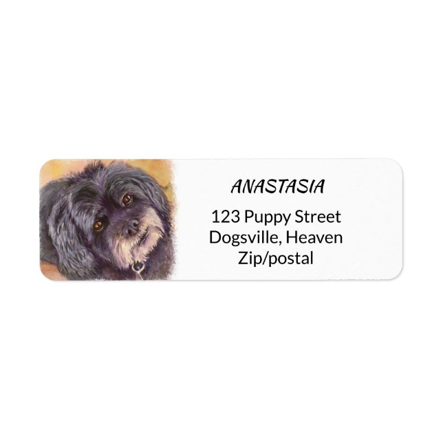 CUTIE BLACK COCK-A-POO MIX RETURADRESS ETIKETT (Framsidan)