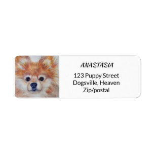 CUTIE GULD- POMERANIAN RETURADRESS ETIKETT
