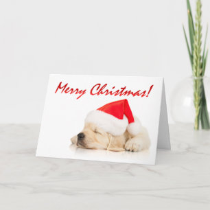 Cutie paj! Gullig Santa valpgod jul Helgkort