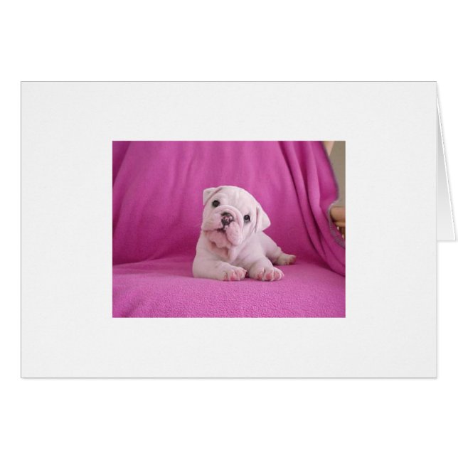 Cutie-Paj! OBS Kort (Framsidan Horizontal)