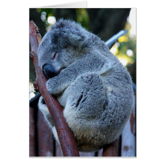 Cutie pajKoala Hälsningskort