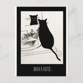 cutisk katt vykort