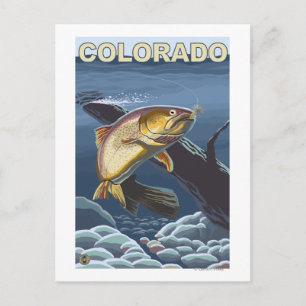 Cutmynningtrout FishingColorado Vykort