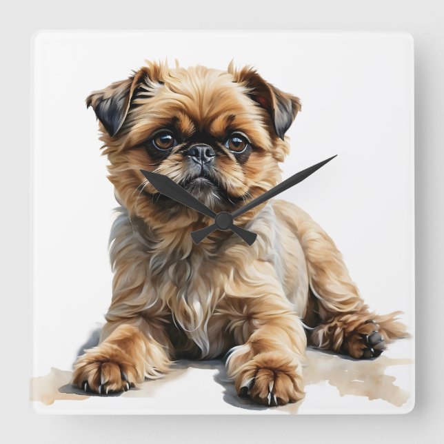 CUTTAN & BLACK BRYSSELS GRIFFON HUND FYRKANTIG KLOCKA (Framsida)