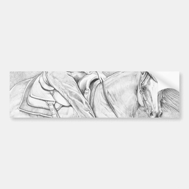 Cutter Bildekal (Framsidan)