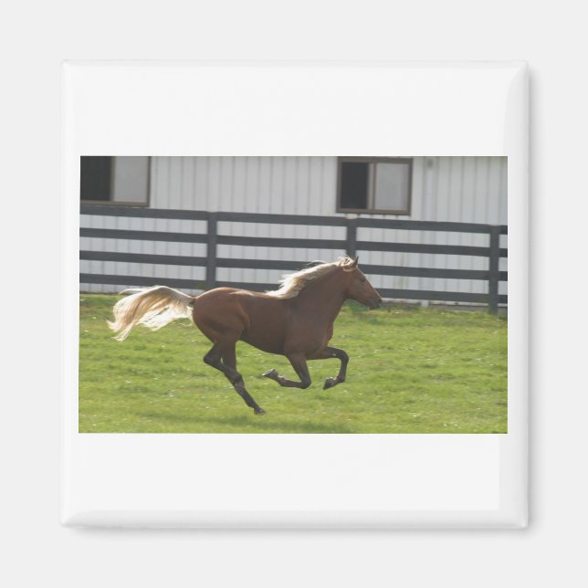 Cuttin'Loose Magnet (Framsidan)