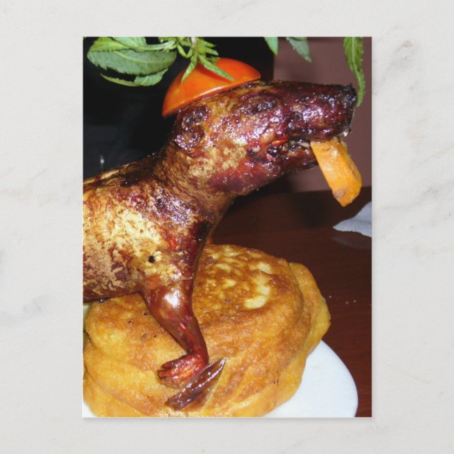 cuy ansikte vykort (Framsida)