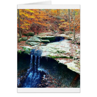 Cuyahoga för blåtthönanedgångar nationalpark Ohio Hälsningskort
