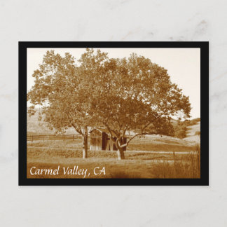 CV Sommarvykort Vykort