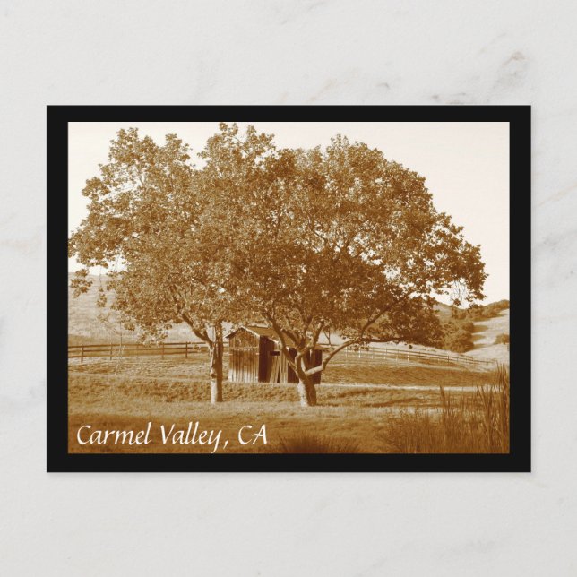 CV Sommarvykort Vykort (Framsida)