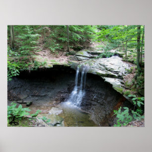 CVNP - Blåtthöna 2010 Poster