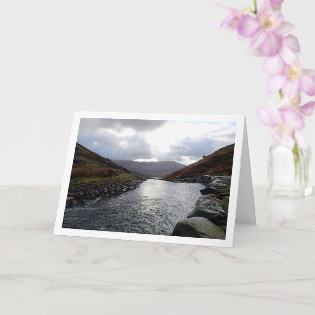 Cwm Llan, Snowdonia, Wales, Förenade kungariket Kort (Orkide)