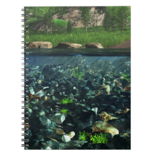 Cwm River - bärbar dator Anteckningsbok