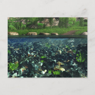 Cwm River Postcard Vykort