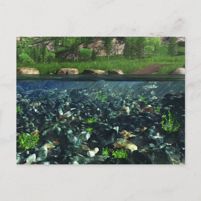Cwm River Postcard Vykort (Framsida)