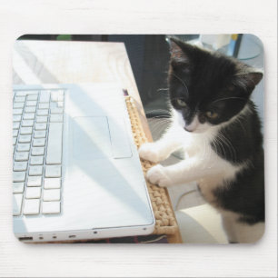 Cyberkitten Musmatta