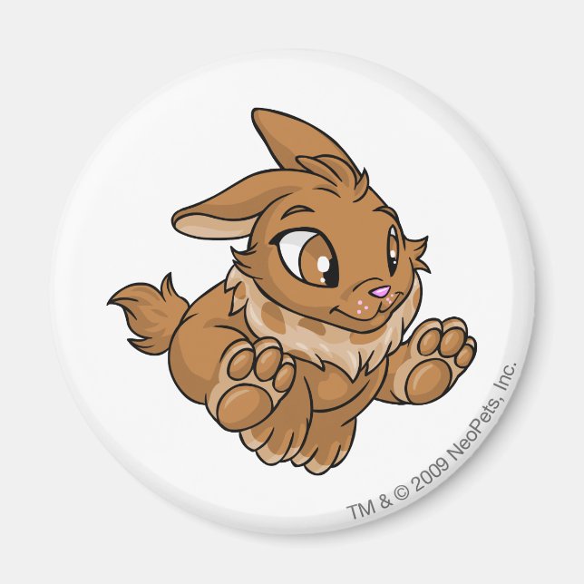 Cybunny Brown Magnet (Framsidan)