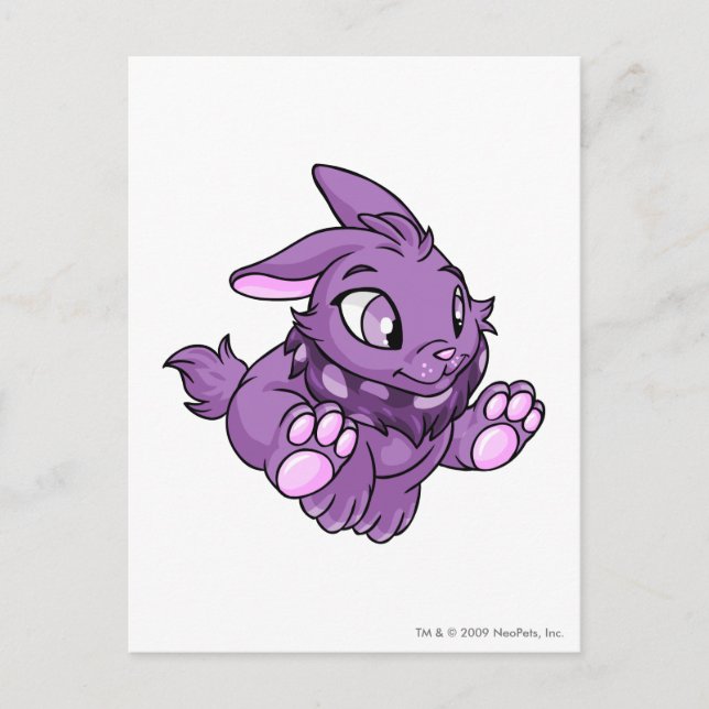 Cybunny Lila Vykort (Framsida)