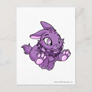 Cybunny Lila Vykort