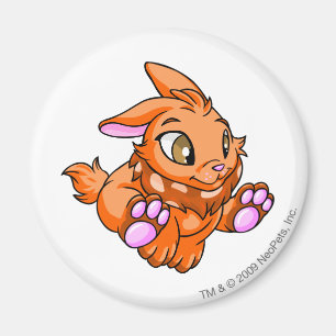 Cybunny orange magnet