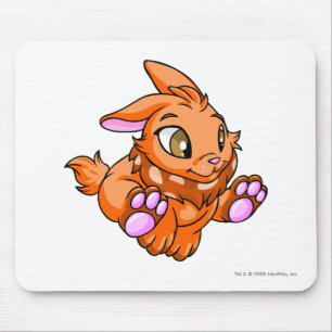 Cybunny orange musmatta